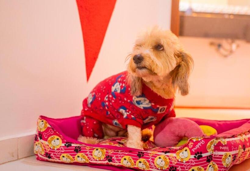 פנסיון Pousada Do Bispo