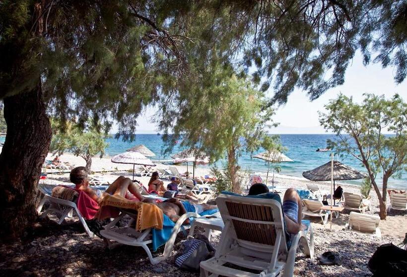 펜션 şahin Motel & Restaurant