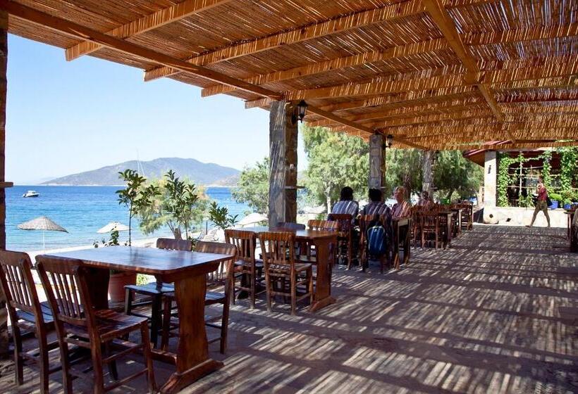 펜션 şahin Motel & Restaurant