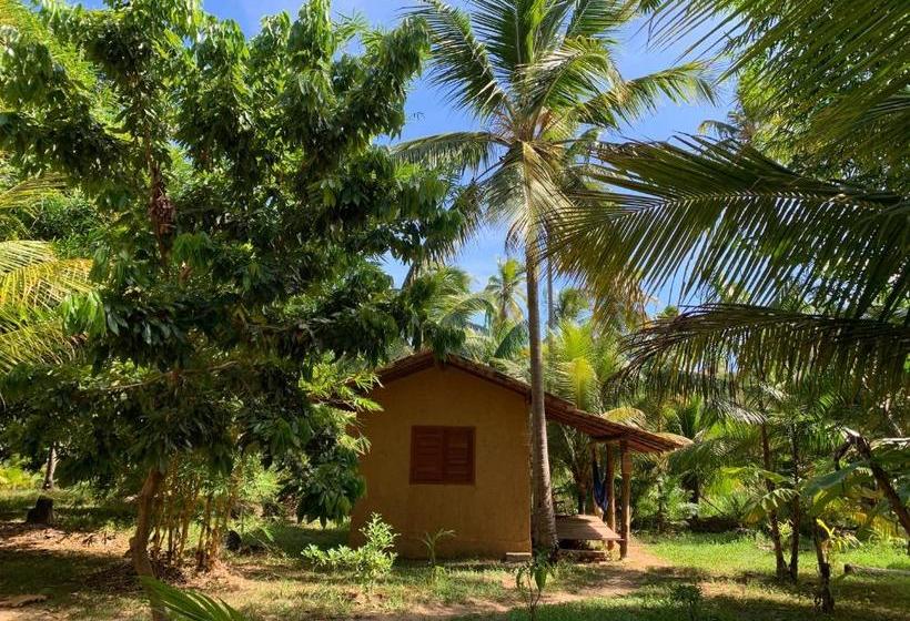 Пансион Pousada Peixe Do Mato