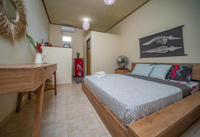 بنسيون The Bali Boarding House