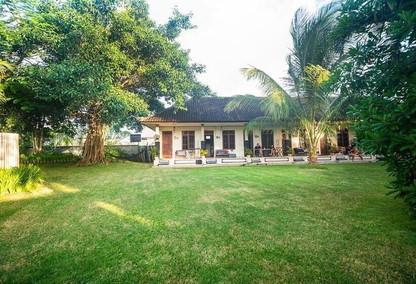 膳宿费 The Bali Boarding House