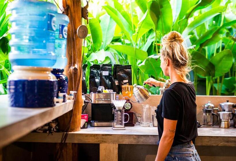 膳宿费 The Bali Boarding House