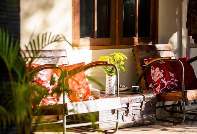 بنسيون The Bali Boarding House