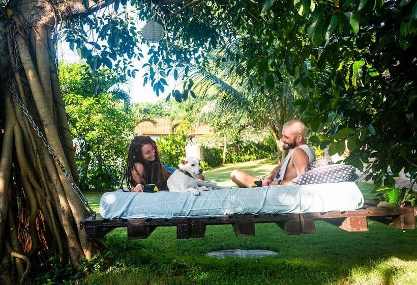 بنسيون The Bali Boarding House