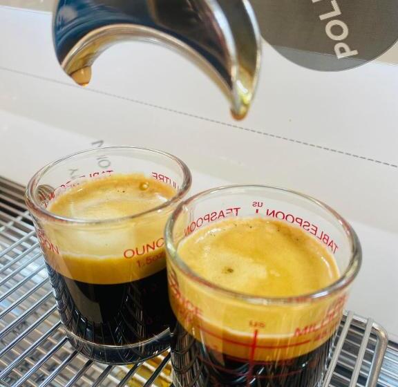 بنسيون The Billabong Guesthouse