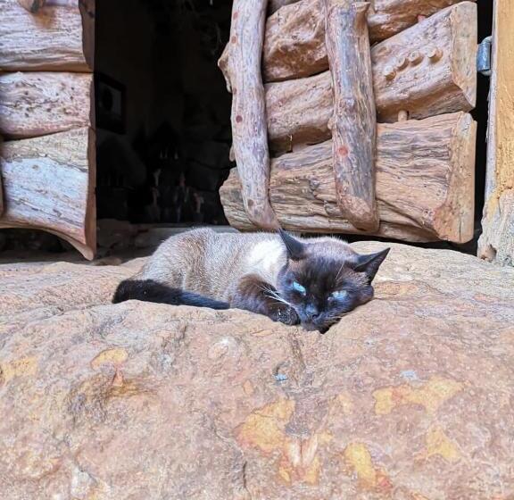 هاستل Casa Mahanaim Barichara