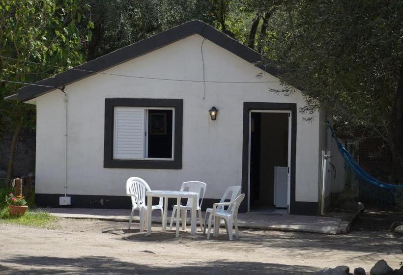 Общежитие Complejo De Cabañas Pach   Flo