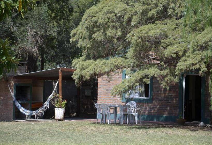 Общежитие Complejo De Cabañas Pach   Flo