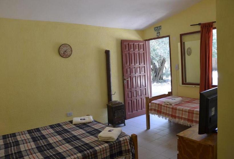 Общежитие Complejo De Cabañas Pach   Flo