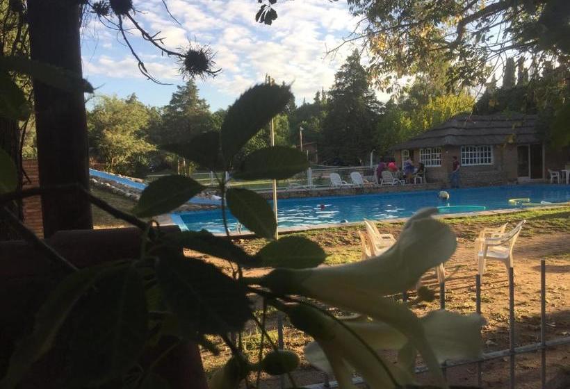 Общежитие Complejo De Cabañas Pach   Flo