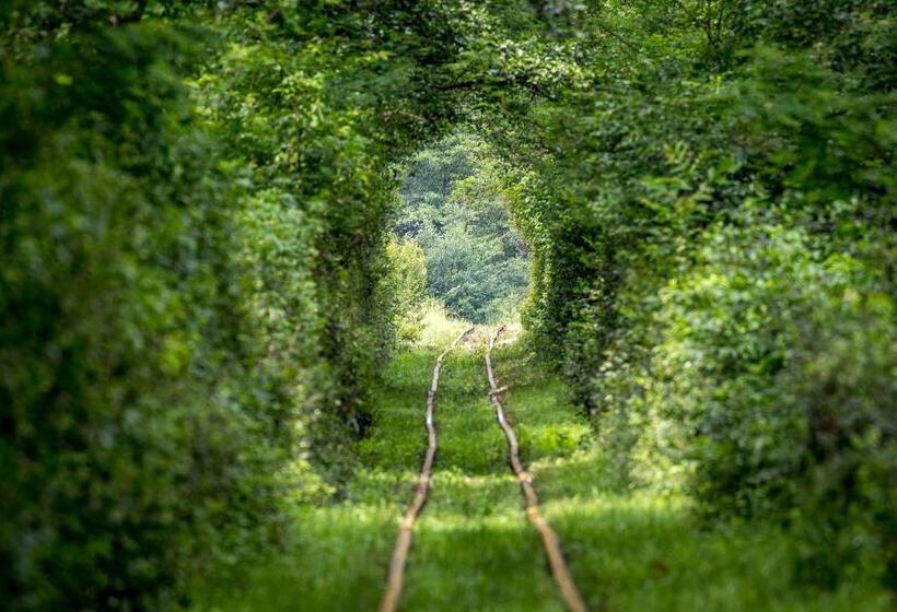 호스텔 Hanul Vatra