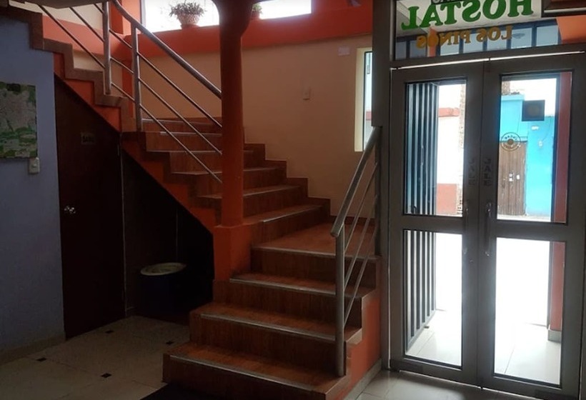 هاستل Hostal Los Pinos