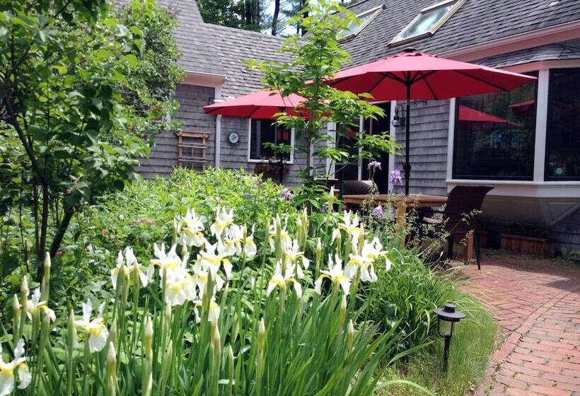 فندق صغير Morning Glory Inn