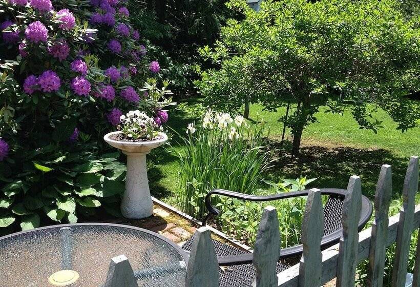 فندق صغير Morning Glory Inn