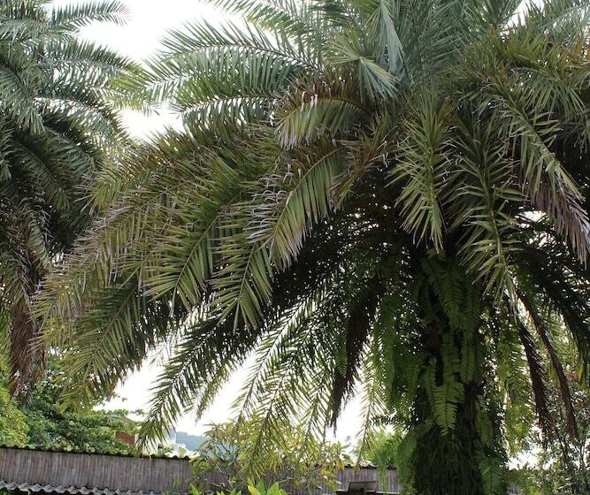 B Happy Resort   Sha Extraplus