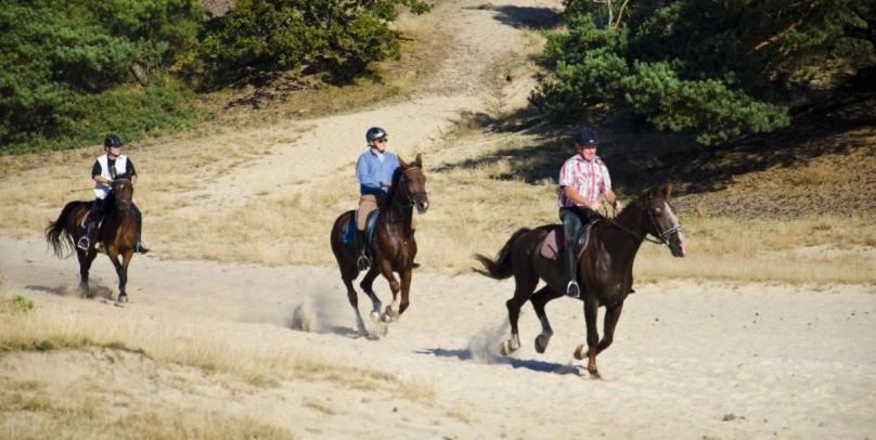 هتل De Distelhoeve