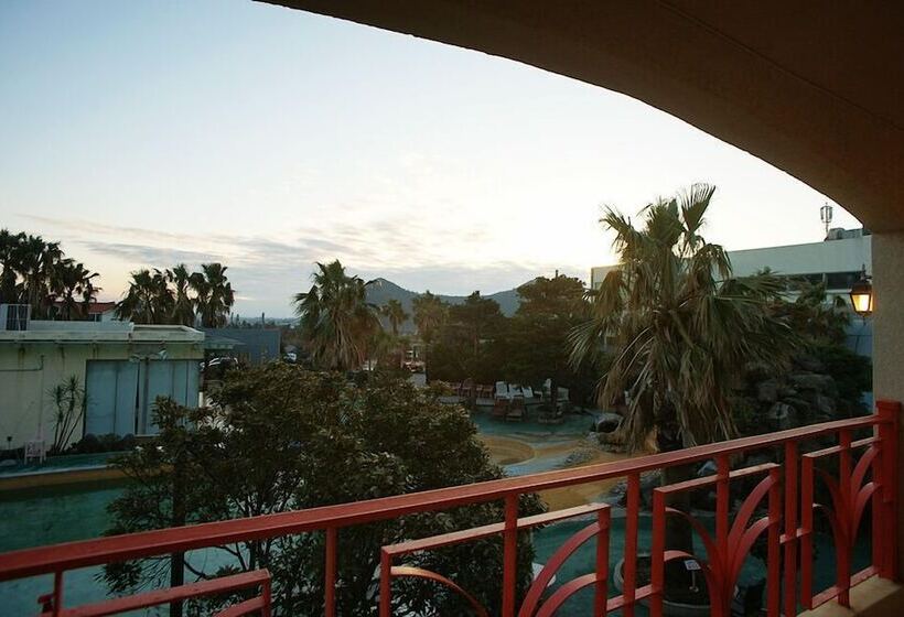 בית מלון כפרי Olleh House