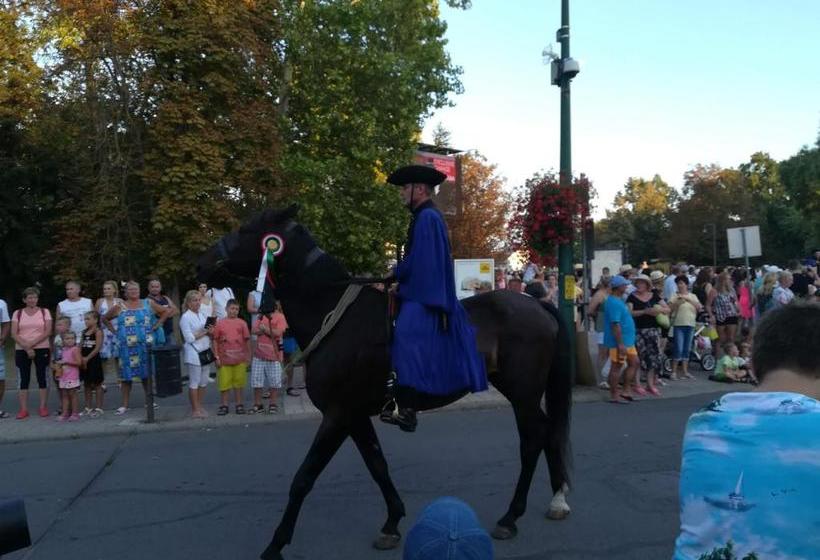 פנסיון Andi Ház