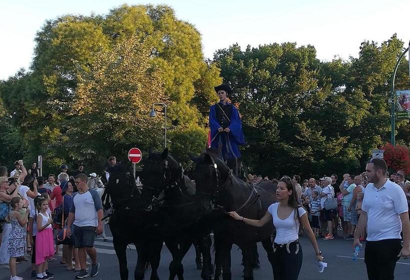 פנסיון Andi Ház