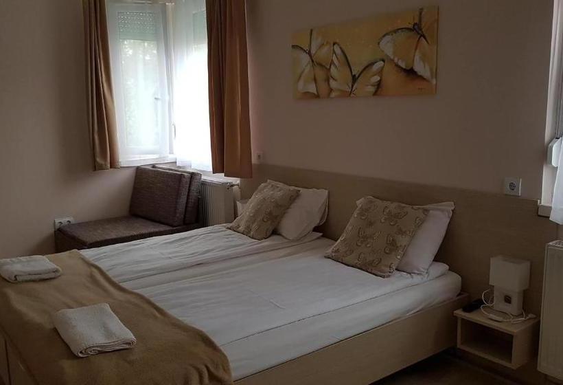 פנסיון Andi Ház