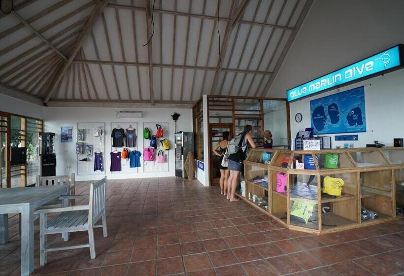 پانسیون Blue Marlin Dive Gili Air