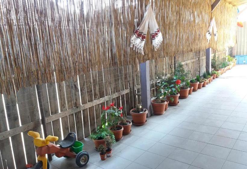 Пансион Casa Rodisa