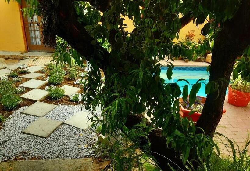 פנסיון Cathy's Guest House