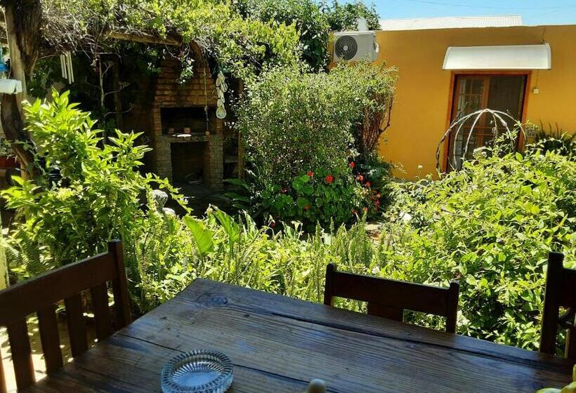 פנסיון Cathy's Guest House