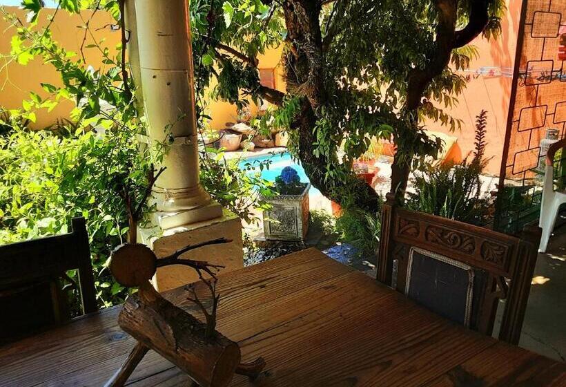 פנסיון Cathy's Guest House