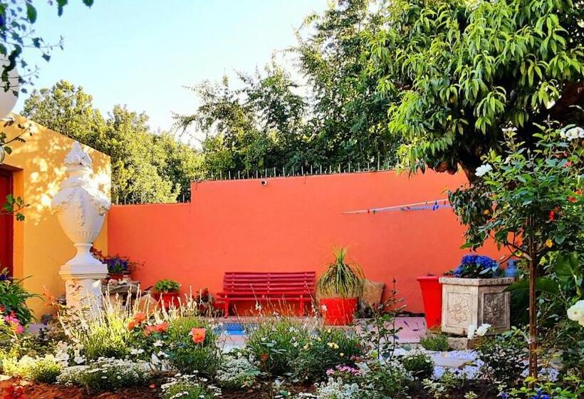 פנסיון Cathy's Guest House