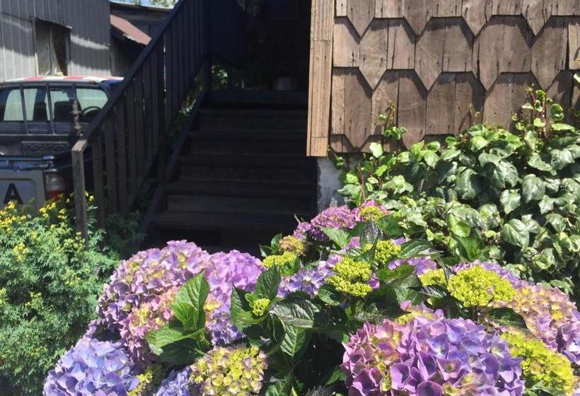 بنسيون Hostal Y Cabañas Mirando Al Mar