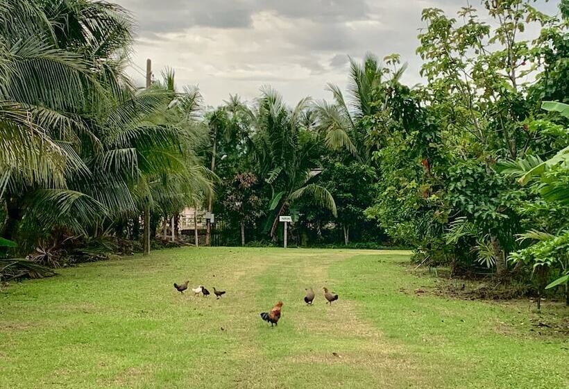 Pensão Lantala Residence