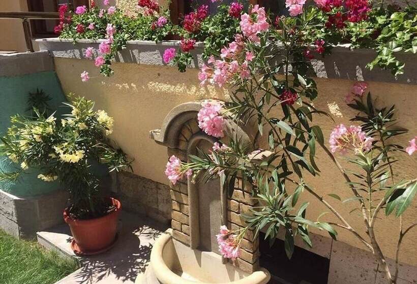 بنسيون Paradise Chernomorets