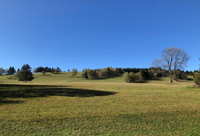 פנסיון Penzion čert