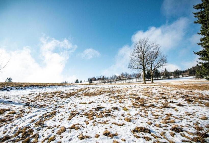 פנסיון Penzion čert