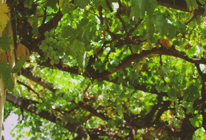 پانسیون Pulmary Guest House