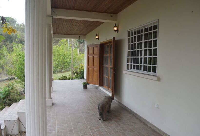 ペンション Rock Farm Guest House