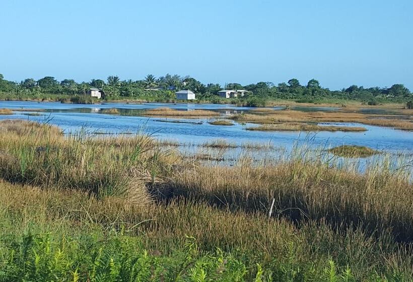 ペンション Rock Farm Guest House