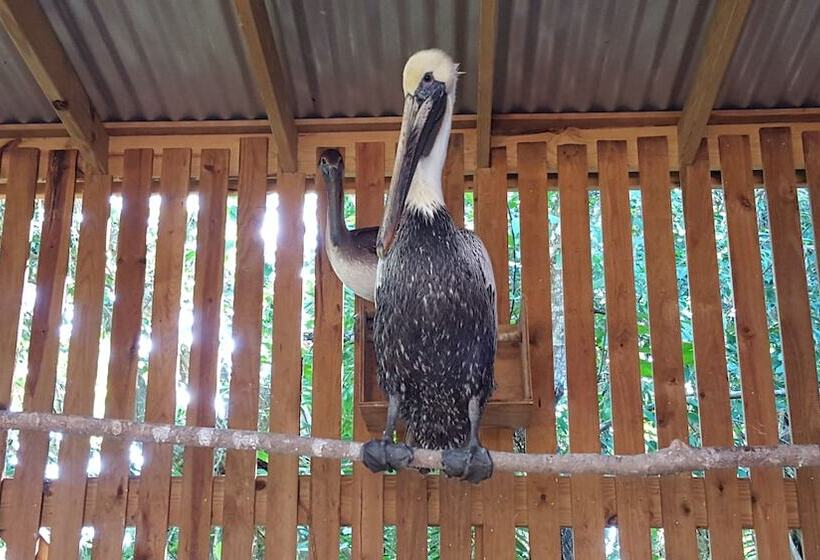 ペンション Rock Farm Guest House