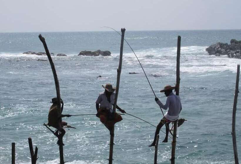 פנסיון The Colonial Villa