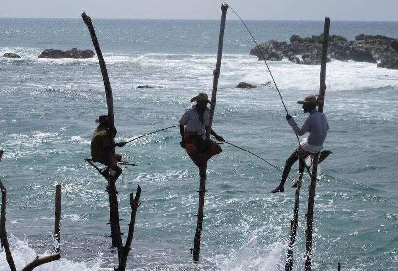 פנסיון The Colonial Villa