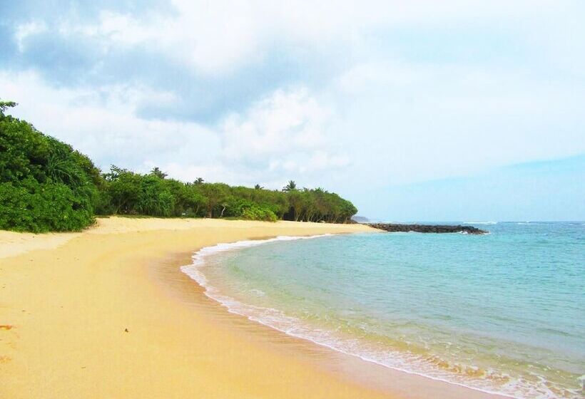 פנסיון The Colonial Villa