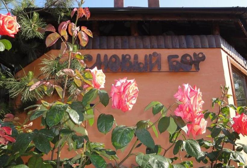 پانسیون Villa Sosnovy Bor