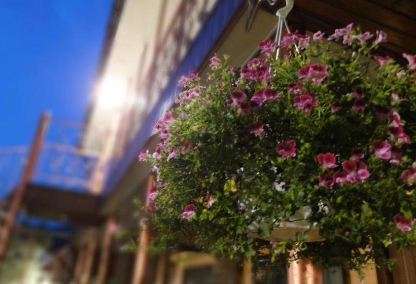 پانسیون Villa Sosnovy Bor