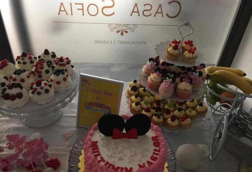 Pensiune Restaurant Casa Sofia