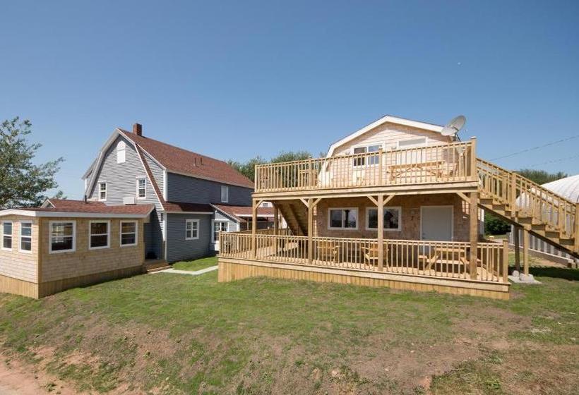 ユースホステル The Archie & Isidore