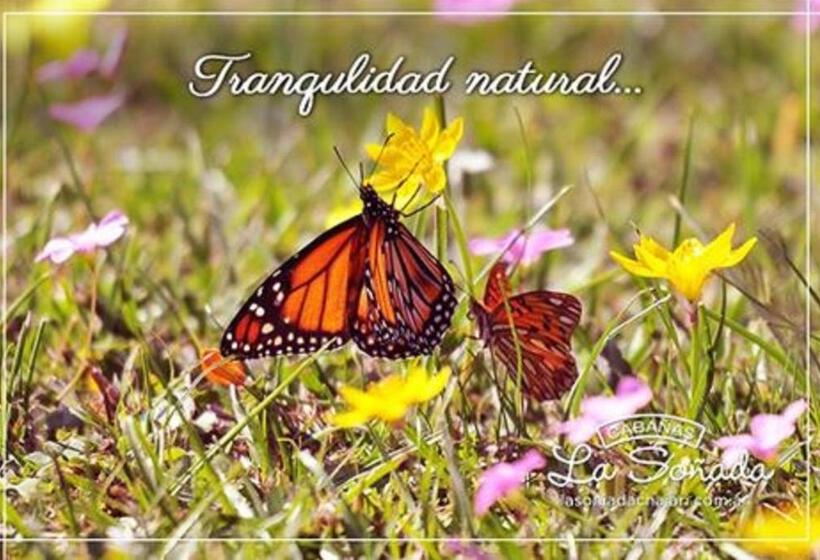 Hostel Cabañas La Soñada