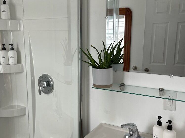 ユースホステル The Archie & Isidore