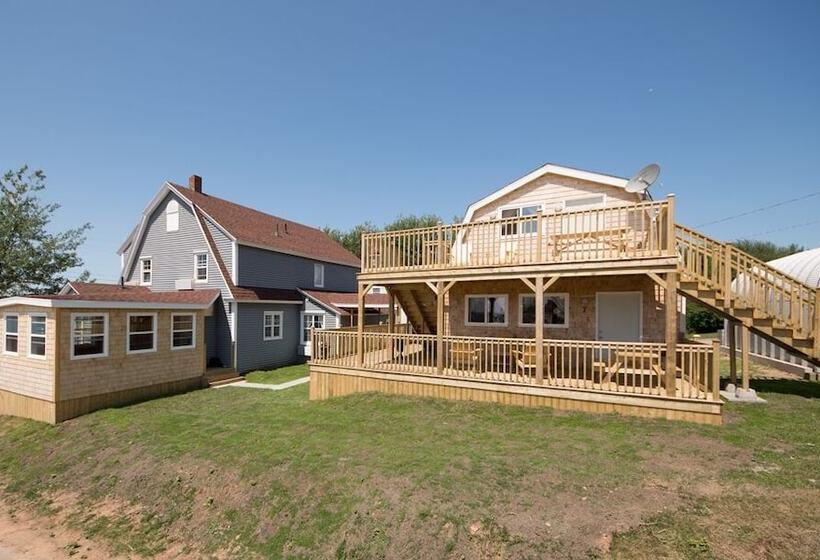 ユースホステル The Archie & Isidore